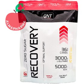 تصویر پودر ریکاوری کیو ان تی 