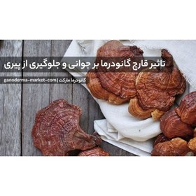 تصویر قارچ گانودرما 50 گرمی Ganoderma lucidum(هزینه ارسال 45000تومان) 