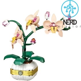 تصویر گلدان ارکیده 