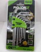 تصویر آلن ستاره ای کوتاه برند پی ژن (PIGEON) 