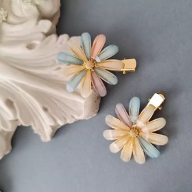 تصویر گلسر انبری بابونه 