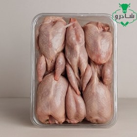 تصویر بلدرچین 