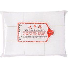 تصویر پد کلینزر ۱۰۰۰ عددی special nail 