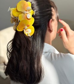 تصویر کلیپس ارکیده 