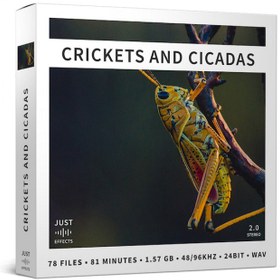 تصویر مجموعه صداهای جیرجیرک و حشرات Crickets and Cicadas افکت صوتی