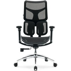 تصویر صندلی ارگونومیک SIHOO S100 SIHOO S100 Ergonomic Office Chair