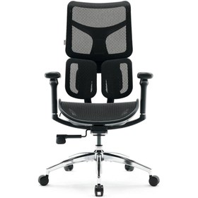 تصویر صندلی ارگونومیک SIHOO S100 SIHOO S100 Ergonomic Office Chair
