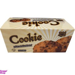 تصویر شیرینی کوکی با کشمش و مغز گردو نادری وزن ۴۰ گرم 