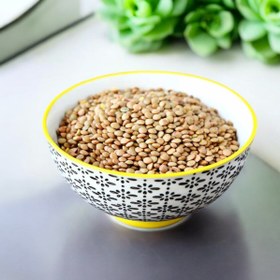 تصویر عدس درشت ایرانی 