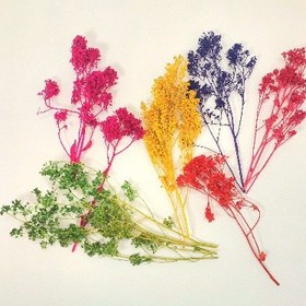 تصویر گل خشک شمع سازی 