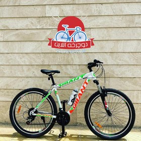 خرید و قیمت دوچرخه جاینت سایز 26 و 24 | ترب