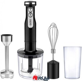 تصویر گوشت کوب برقی فرست مدل FA-5273-5 BLENDER 3 IN 1 AND SHREDDER FIRST AUSTRIA FA52735