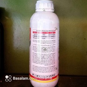 تصویر سم کلرپیریفوس (دورسبان ) سم شپشک و مینوز بهاورشیمی یک لیتری (chlorpyrifos) 