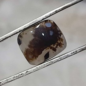 تصویر عقیق شجر قائن اصل کد 14 