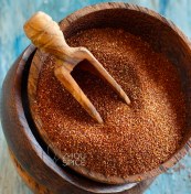 تصویر خاکشیر 