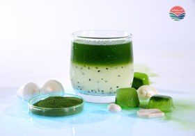 تصویر پودر جلبک اسپیرولینا ۱۰۰ گرمی ارگانیک 