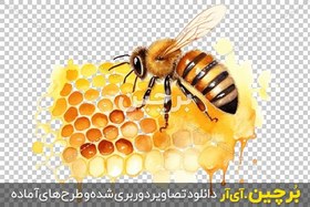 تصویر نقاشی آبرنگ دوربری شده زنبور عسل در کندو 