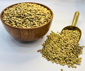 تصویر عدس سبز زنجان 