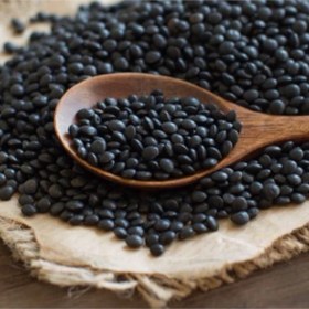 تصویر بذر عدس سیاه 20 عددی 