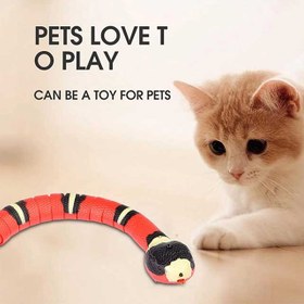 تصویر اسباب بازی مار متحرک شارژی گربه + فیلم spinning snake cat toy