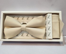 تصویر پاپیون P13 