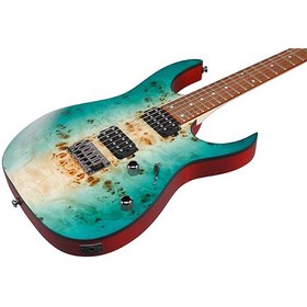 تصویر گیتار الکتریک آیبانز Ibanez RG421PB 