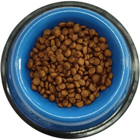 تصویر غذای خشک گربه مفید حمایتی 500 گرمی 