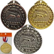تصویر مدال قهرمانی شنا با بند خارجی 