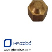 تصویر نازل پیلوت شمعک ابگرمکن دیواری پلار 