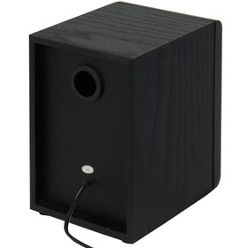 تصویر اسپیکر دو تکه Diana D99A Diana D99A Desktop Speaker