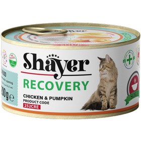 تصویر کنسرو ریکاوری مخصوص گربه، مرغ و کدو حلوایی، ۲۰۰ گرمی، برند شایر Shayer, Cat Recovery Soup, Chicken and pumpkin, 200g