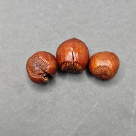 تصویر فندق با پوست نمکی ( پوست نازک ) - نیم کیلویی 