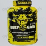 تصویر پودر گین بیف ژن استار وزن ۲۶۰۰ گرم طعم شکلات 