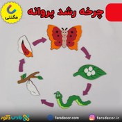 تصویر چرخه زندگی پروانه 