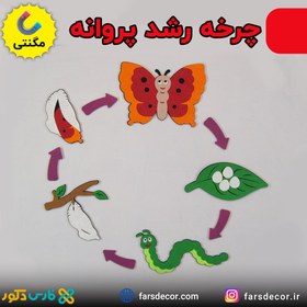 تصویر چرخه زندگی پروانه 