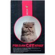 تصویر غذای خشک گربه پرشین مفید مدل PERSIAN CAT 