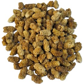 تصویر توت خشک اعلا 