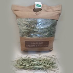 تصویر علوفه فیولاف 