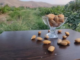 تصویر بادام درختی 