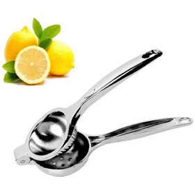 تصویر آب مرکبات گیر شنگیا 