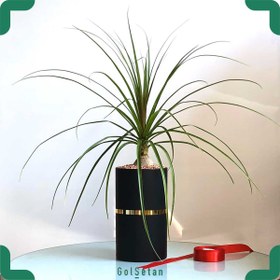 تصویر لیندا کد S60 