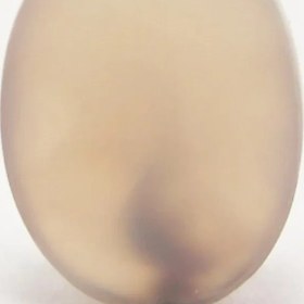 تصویر سنگ شجر کد 3038 