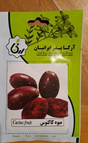 تصویر بذر میوه کاکتوس 