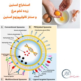 تصویر دستگاه مینی اکسترودر جهت تولید نانولیپوزوم Mini-Extrude for extraction of Lecithin