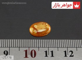 تصویر نگین کهربا بولونی لهستان جذاب کد 125778 