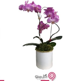تصویر گلدان ارکیده بنفش 