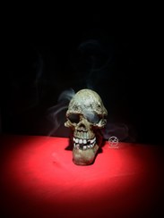 تصویر جا عودی مدل جمجمه 