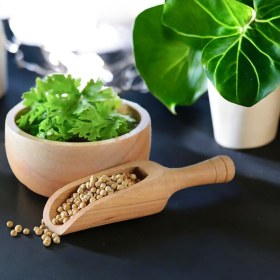 تصویر تخم گشنیز 