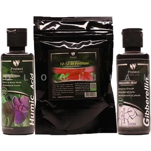 تصویر فروشگاه گل و گیاه