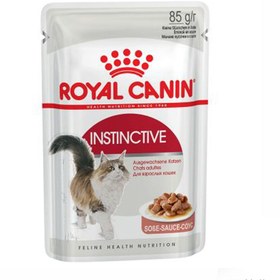 تصویر پوچ گربه Instinctive رویال کنین مدل Royal Canin Instinctive 85g